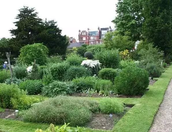 干货 | 36款花境设计平面图,33款花境实景图欣赏(图70) 干货 | 36款花境设计平面图,33款花境实景图欣赏(图70)