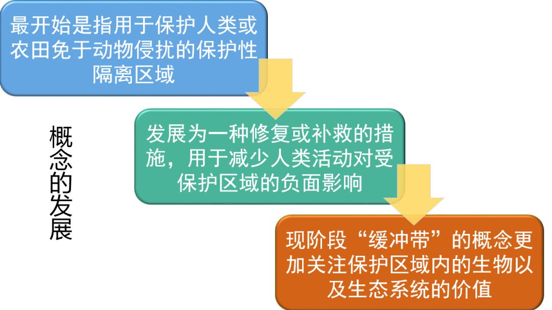 生态·案例|湖泊缓冲带是保护湖泊健康的有效措施 (图1) 生态·案例|湖泊缓冲带是保护湖泊健康的有效措施 (图1)