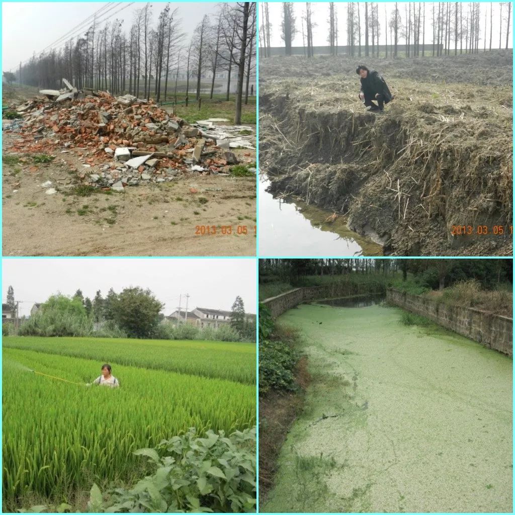 生态·案例|湖泊缓冲带是保护湖泊健康的有效措施 (图4) 生态·案例|湖泊缓冲带是保护湖泊健康的有效措施 (图4)