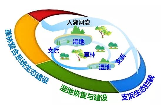 生态·案例|湖泊缓冲带是保护湖泊健康的有效措施 (图8) 生态·案例|湖泊缓冲带是保护湖泊健康的有效措施 (图8)