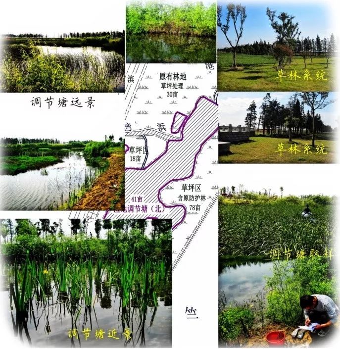 生态·案例|湖泊缓冲带是保护湖泊健康的有效措施 (图10) 生态·案例|湖泊缓冲带是保护湖泊健康的有效措施 (图10)