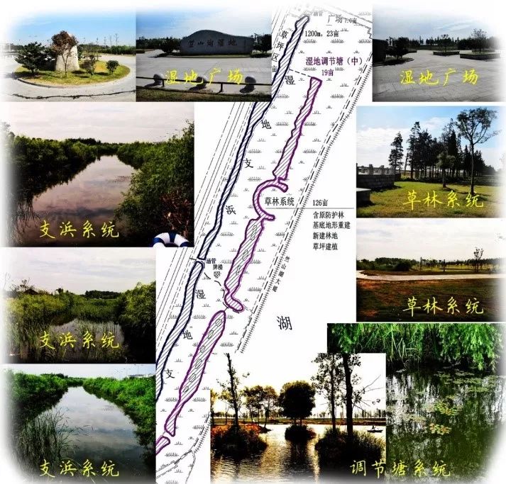 生态·案例|湖泊缓冲带是保护湖泊健康的有效措施 (图11) 生态·案例|湖泊缓冲带是保护湖泊健康的有效措施 (图11)