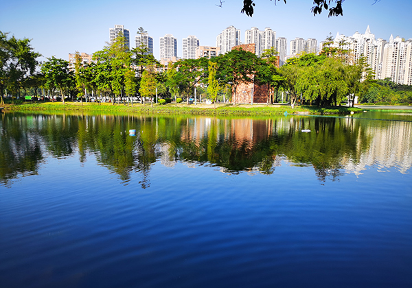 案例分享|佛山-亚艺湖(图2) 案例分享|佛山-亚艺湖(图2)