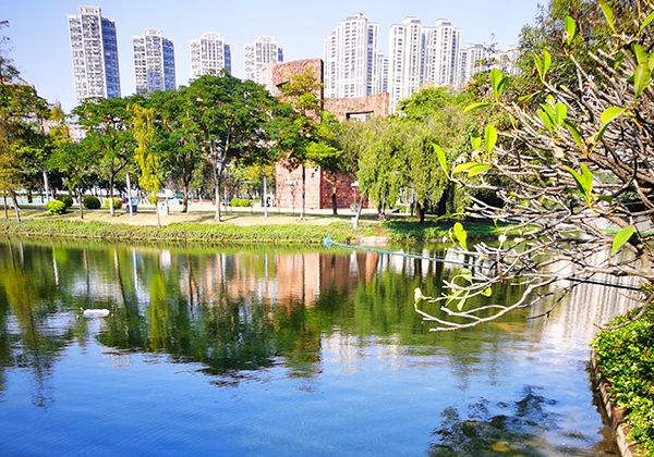 案例分享|佛山-亚艺湖(图3) 案例分享|佛山-亚艺湖(图3)